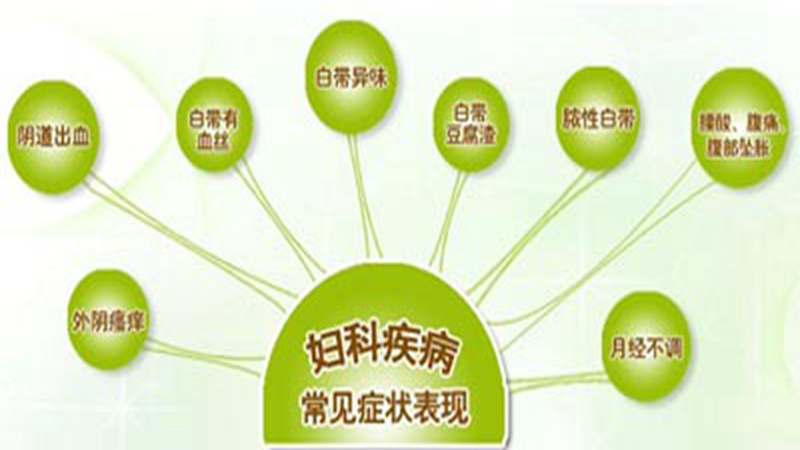 北京中医医院：传统医学的现代传承